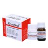 Xi măng trám bít ống tủy Endoseal Prevest